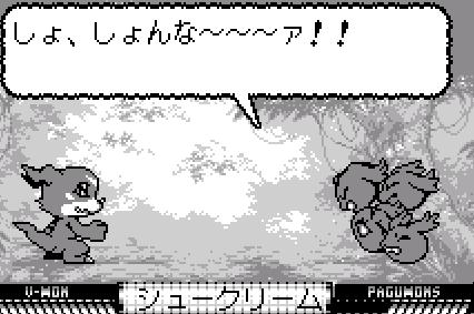 Digimon en la Wonder swan 043